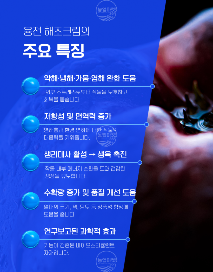 bf73e3a727be9ad0968d28d9d8f3980f_1749345227_4805.png