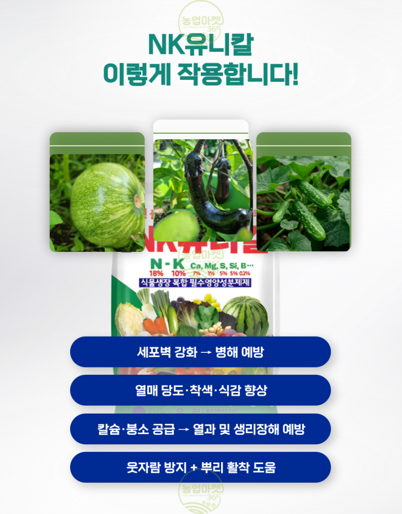 bf73e3a727be9ad0968d28d9d8f3980f_1749352828_3645.png