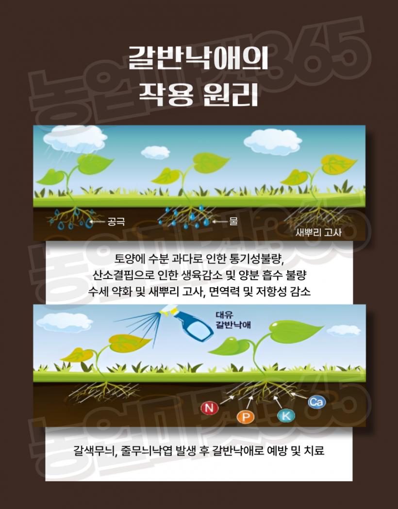 0ab22398ef8a1eed9e08829e9106431a_1752658562_7826.png