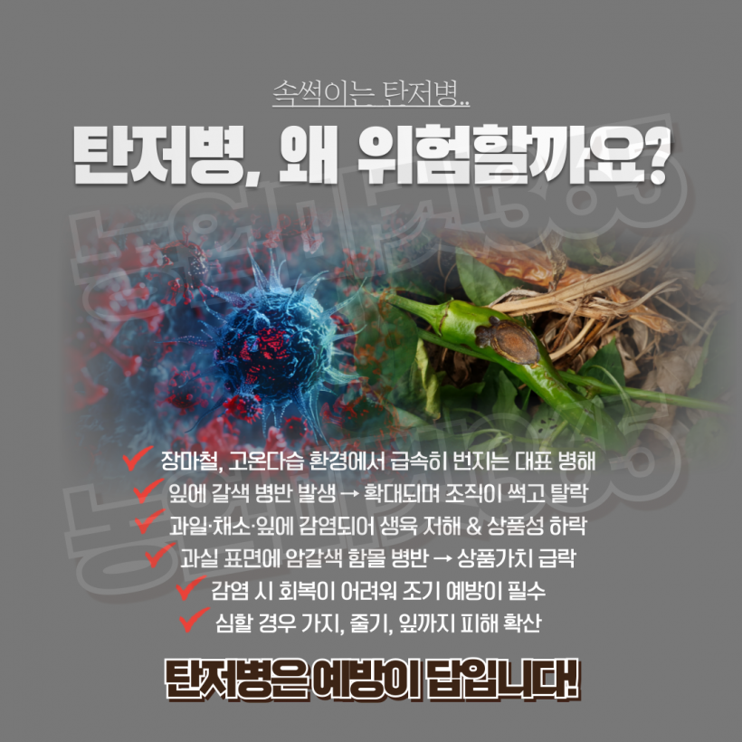 2fa4e434a272d399e2d5a1ccb514c340_1752813240_2212.png