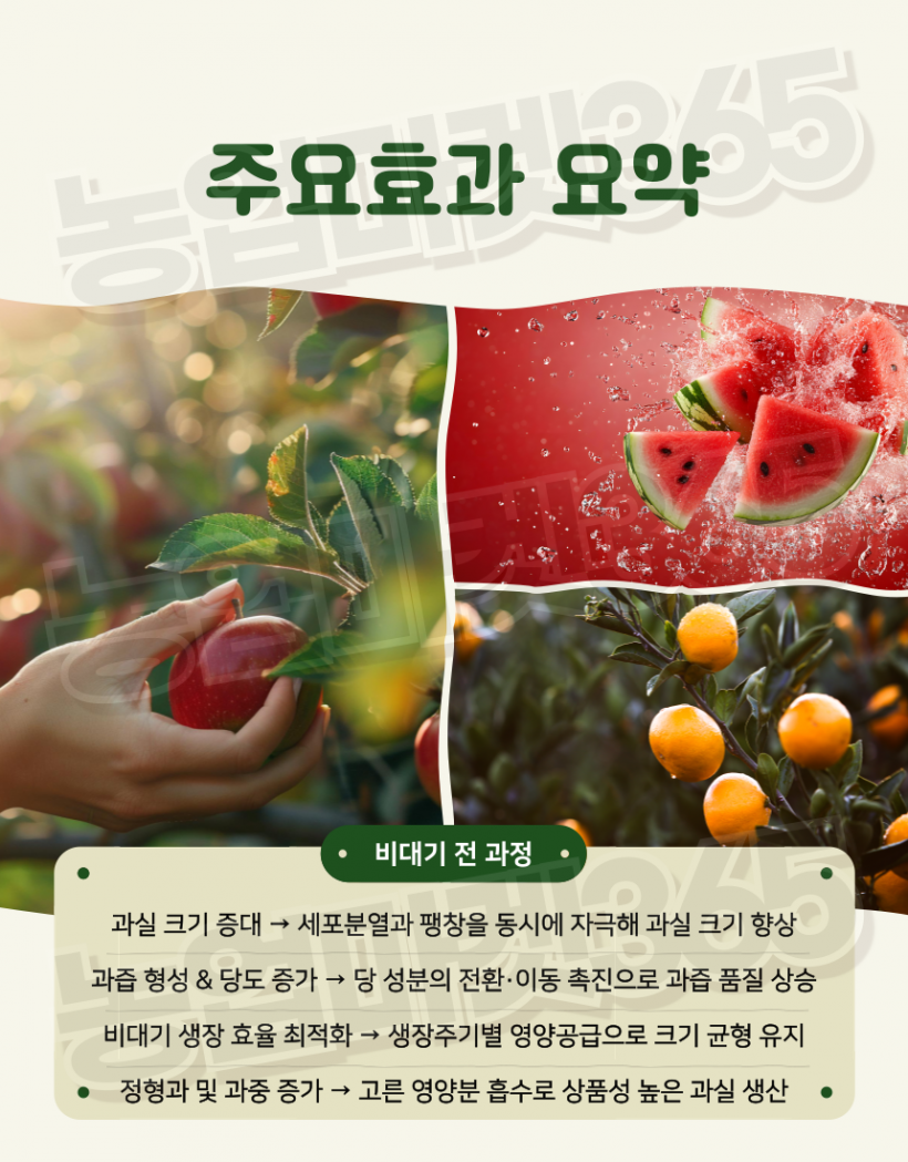 85cd74ff9ce8b976b35a21eda1ab048d_1753937718_9202.png