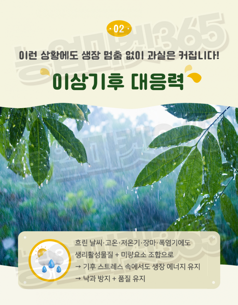 85cd74ff9ce8b976b35a21eda1ab048d_1753937719_1424.png