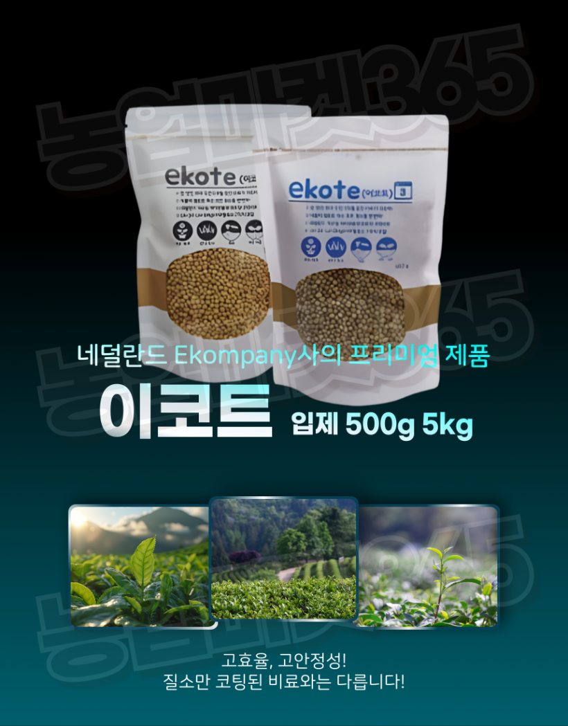 afa07262bebe6556e81169599c055652_1753435713_173.png