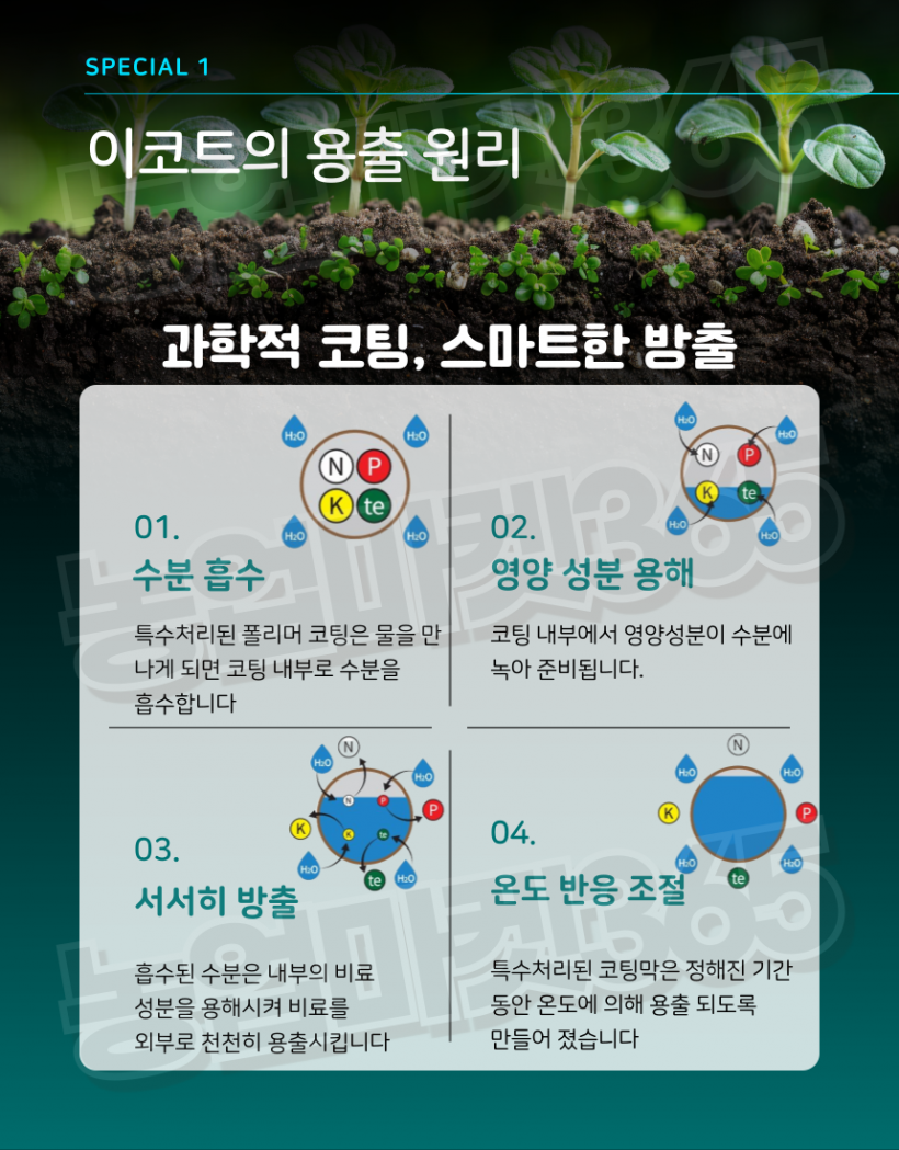 afa07262bebe6556e81169599c055652_1753435713_4232.png