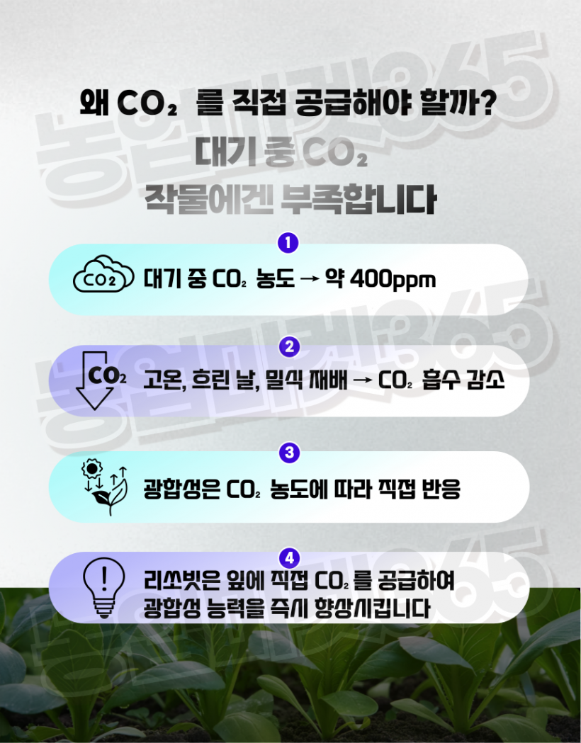 afa07262bebe6556e81169599c055652_1753435865_3706.png