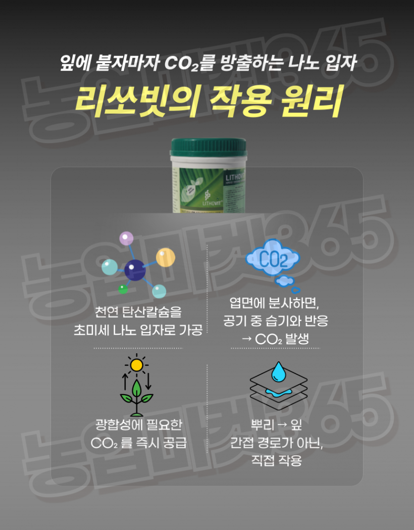 afa07262bebe6556e81169599c055652_1753435865_9587.png