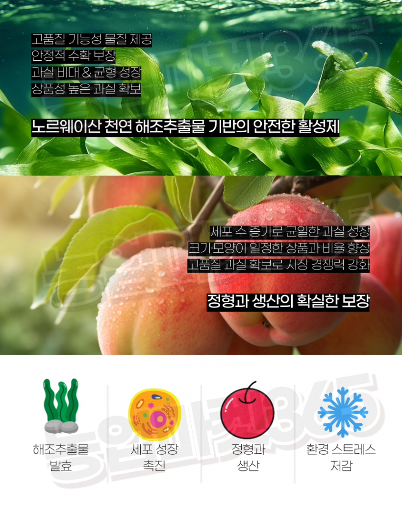 896f8c1cdb9fd2e032ad7ab3f425b9be_1756099283_2552.png