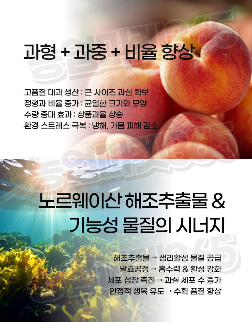 896f8c1cdb9fd2e032ad7ab3f425b9be_1756099283_4193.png