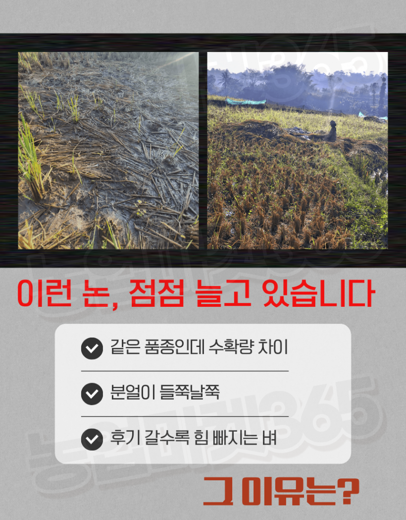 5a2c94bb1aaaa67bd6233527eaea240a_1774589148_3873.png