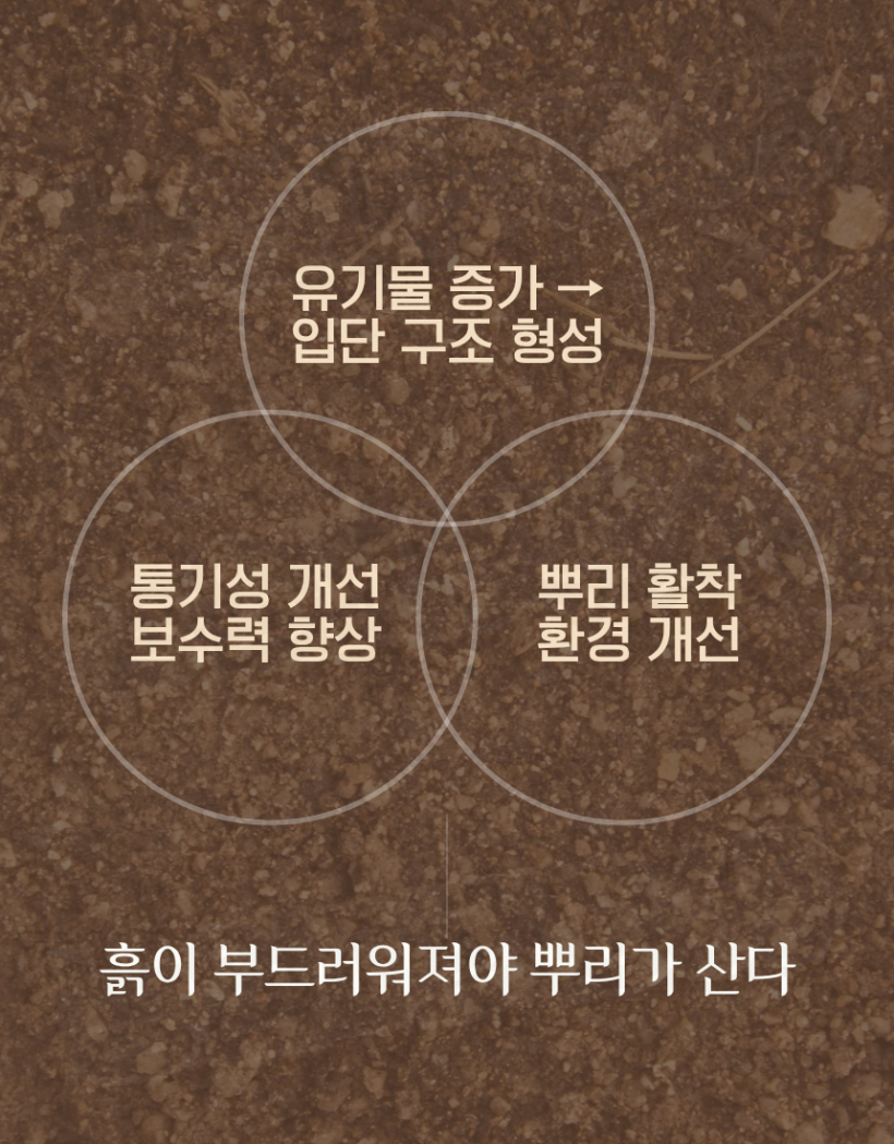 786ee800b60c97128fac76fcd798f67d_1774571624_7162.png
