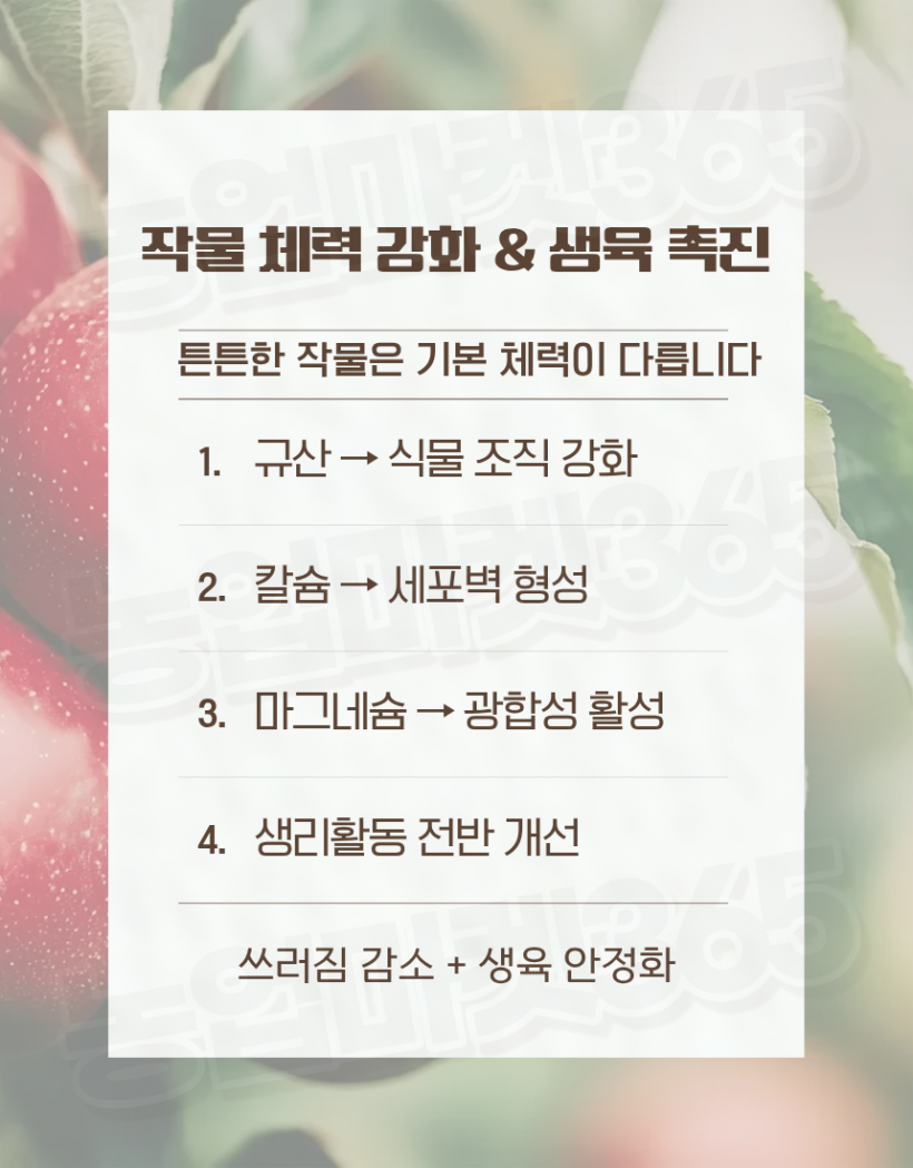 786ee800b60c97128fac76fcd798f67d_1774571624_8541.png