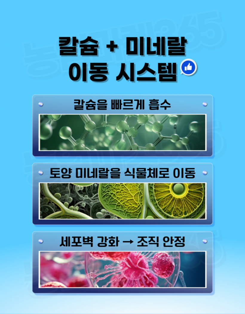 698fc0ed703f1f29f3176c45c31eff0a_1776774813_7312.png