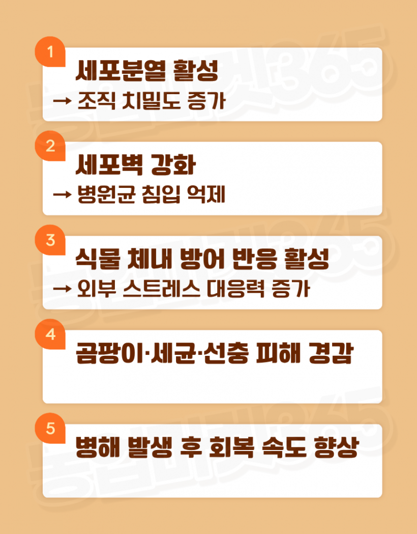 730adb62c3bd39e94173c6592601f1f7_1776402448_6826.png