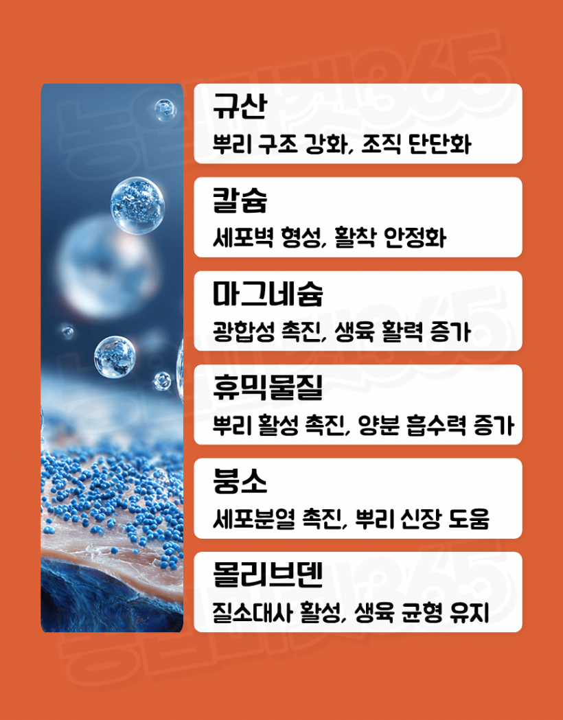 caa1883f779bb10ad3163404fb8b55a5_1776240090_6635.png