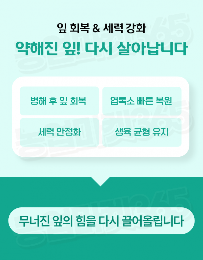 cae878704bf4a7065e005c1732ba828a_1775190087_0828.png
