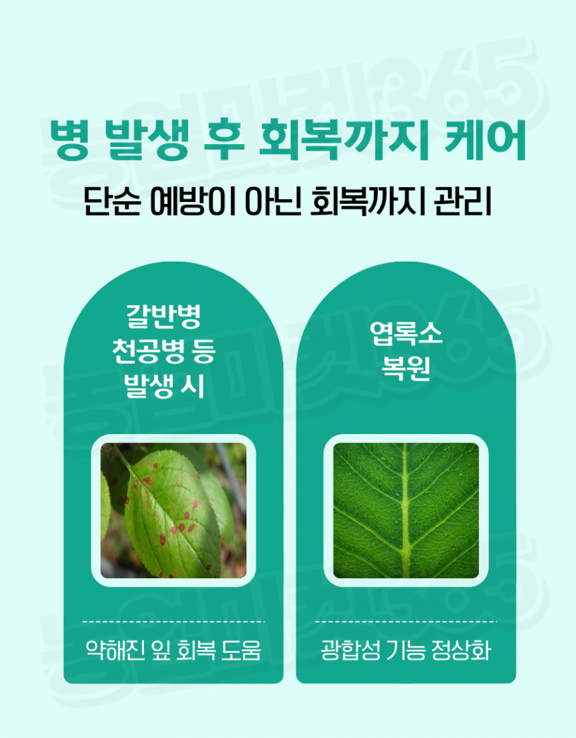 cae878704bf4a7065e005c1732ba828a_1775190087_34.png