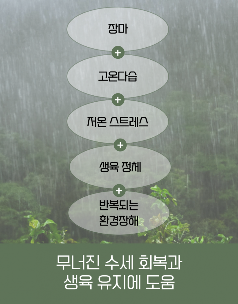 28fbbd170b8ff3c565d9e52ce471a0da_1779777447_8059.png