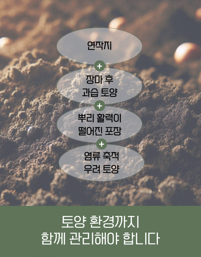 28fbbd170b8ff3c565d9e52ce471a0da_1779777448_5271.png