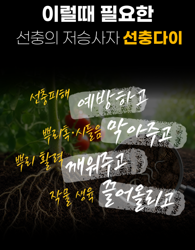 8d7098b646eacca0c76a2c7ea70f541e_1780035388_235.png