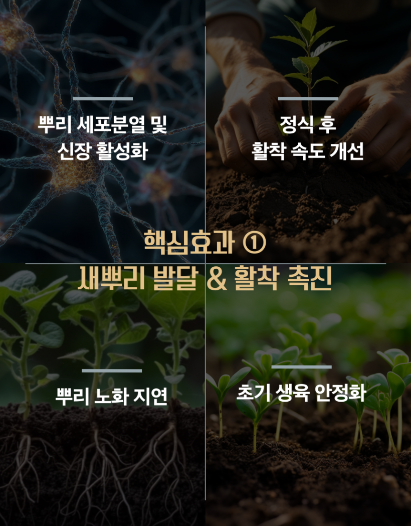 b14fb081920867c8b1ea5ce499859406_1778215783_9197.png