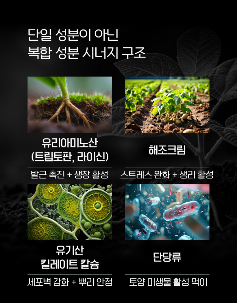 b14fb081920867c8b1ea5ce499859406_1778215790_8841.png