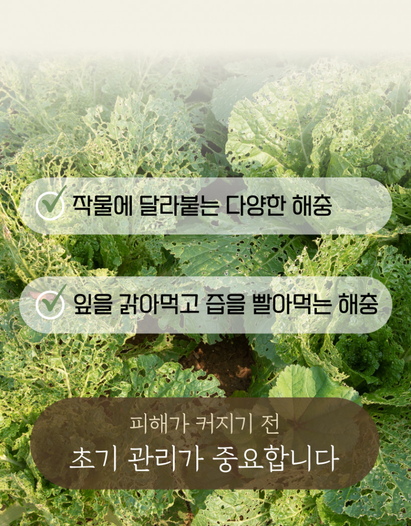 b75c16f8f6c4a4e5a6a337167f10dae9_1779958785_4309.png