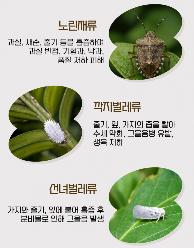 b75c16f8f6c4a4e5a6a337167f10dae9_1779958791_7622.png