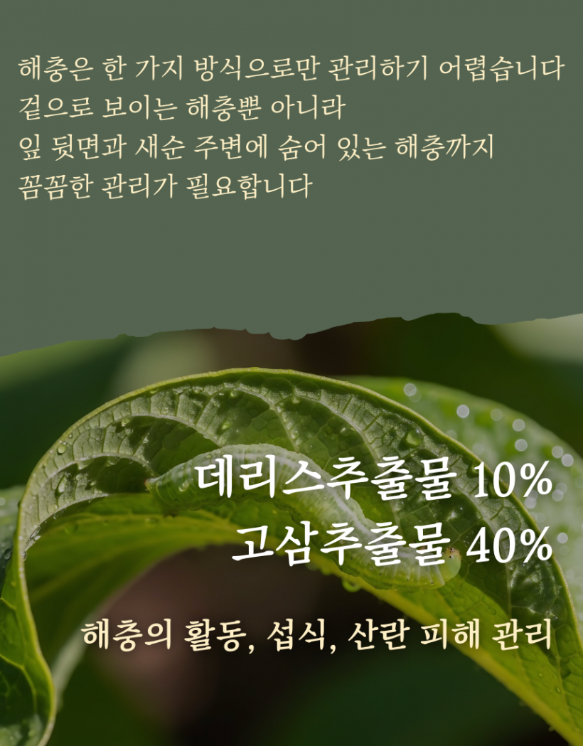 b75c16f8f6c4a4e5a6a337167f10dae9_1779958792_3626.png