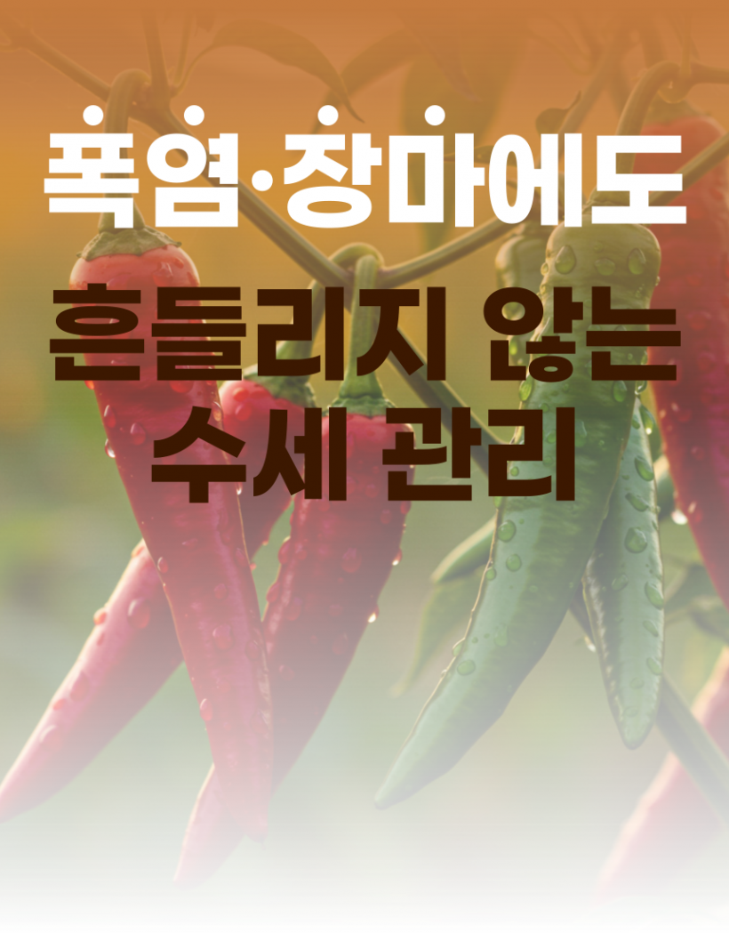 ca2716542eebb1599d25ec05f98cfc59_1779342378_3373.png