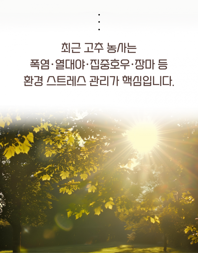 ca2716542eebb1599d25ec05f98cfc59_1779342378_5356.png