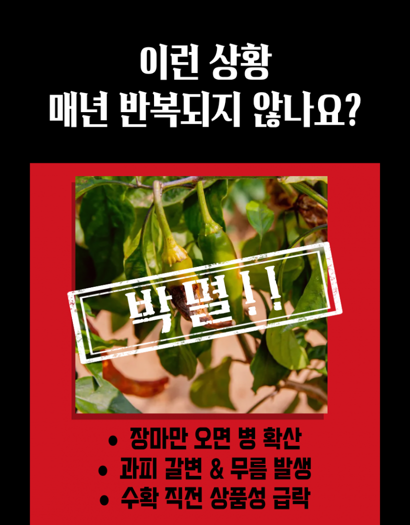 d75bcd567b67a063a8f5c956c6d94264_1778829479_4472.png