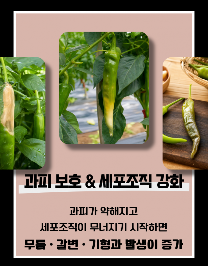 d75bcd567b67a063a8f5c956c6d94264_1778829479_8303.png