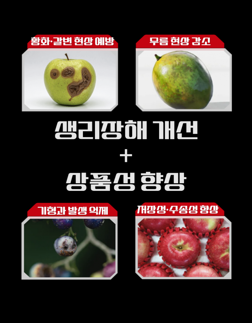 d75bcd567b67a063a8f5c956c6d94264_1778829485_6449.png