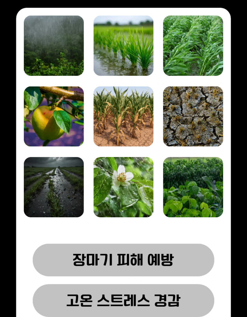 d75bcd567b67a063a8f5c956c6d94264_1778829485_8112.png