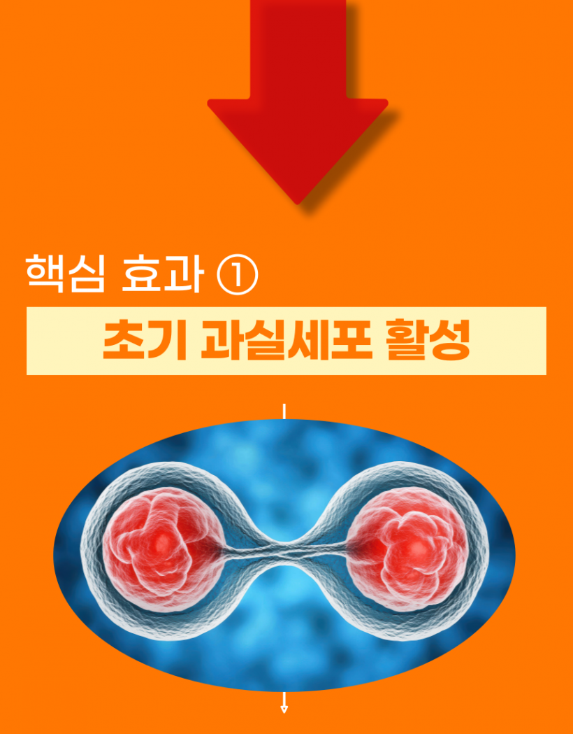 e005a77b4c109b567ee74f48404c8e17_1778192540_854.png