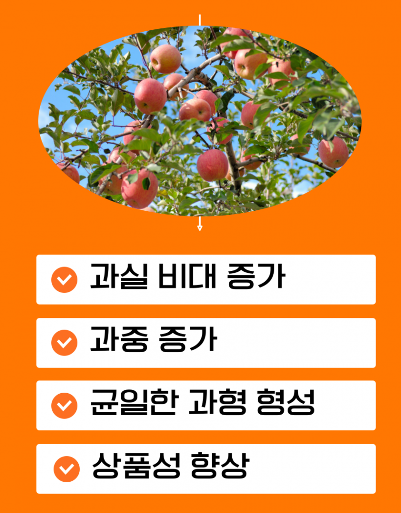 e005a77b4c109b567ee74f48404c8e17_1778192541_0247.png