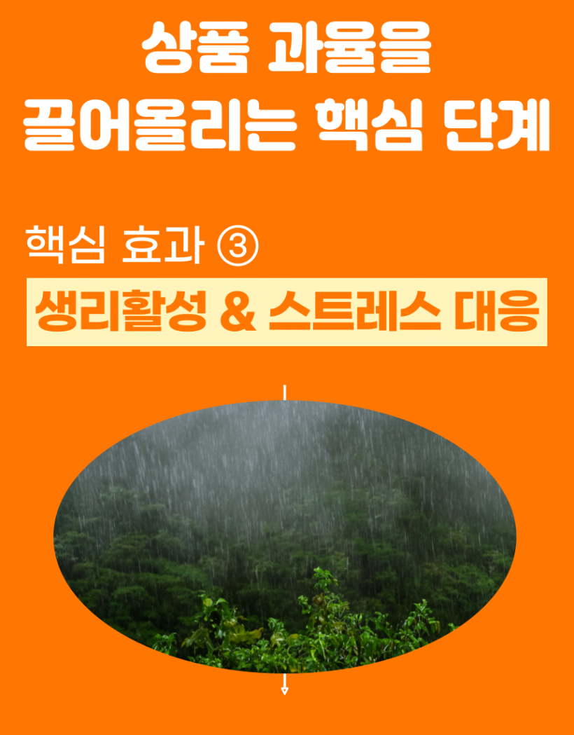 e005a77b4c109b567ee74f48404c8e17_1778192541_1287.png