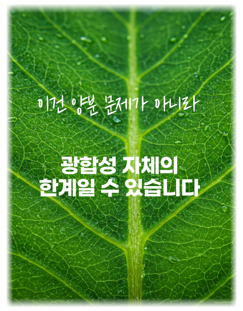 e005a77b4c109b567ee74f48404c8e17_1778192629_3252.png