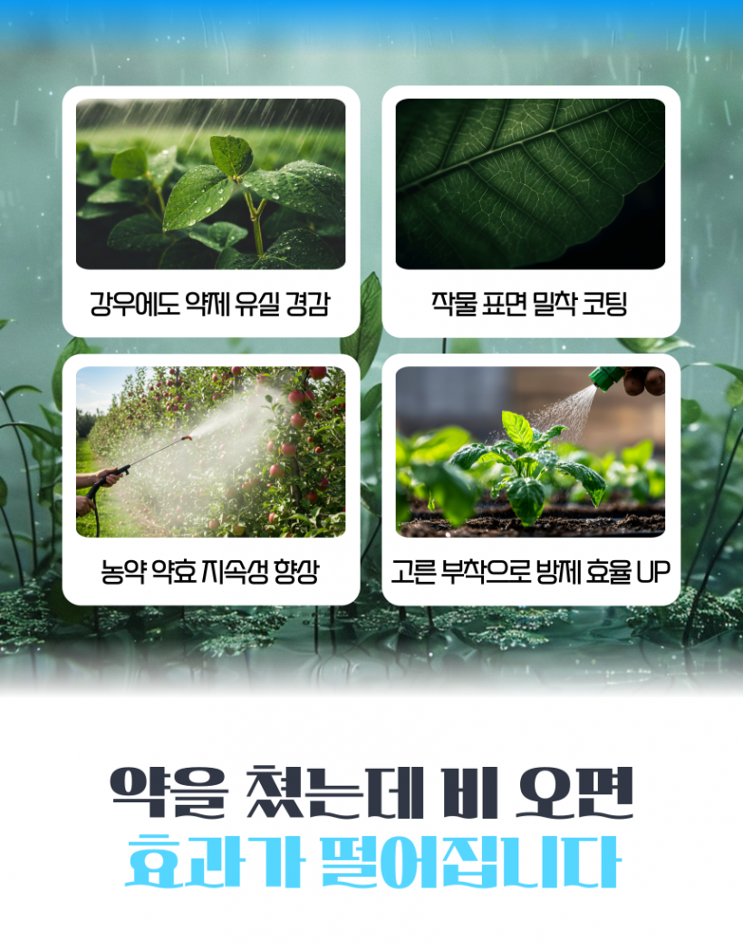 e8ff085335b9f94e644e01f37d96501d_1778566242_2103.png