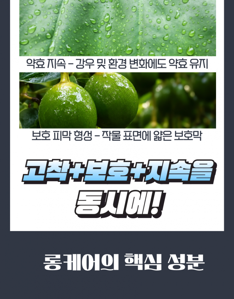 e8ff085335b9f94e644e01f37d96501d_1778566242_5047.png