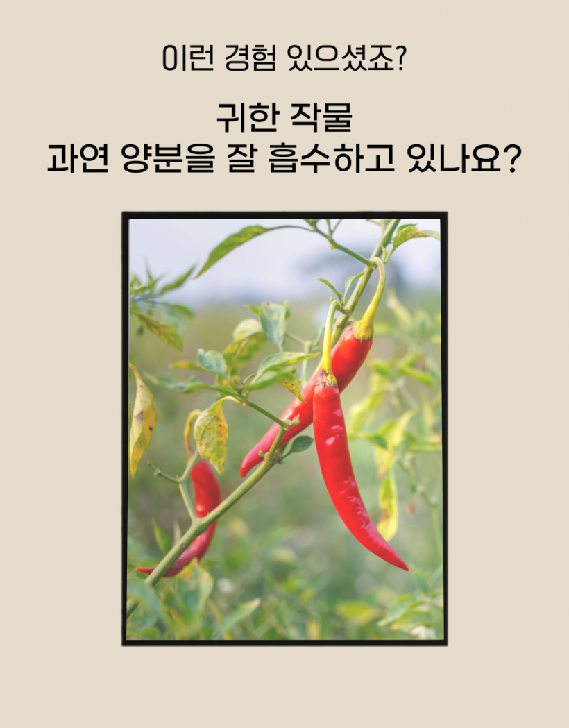 fcf784a25e2f22104efba44c8cd0049c_1779853877_6436.png