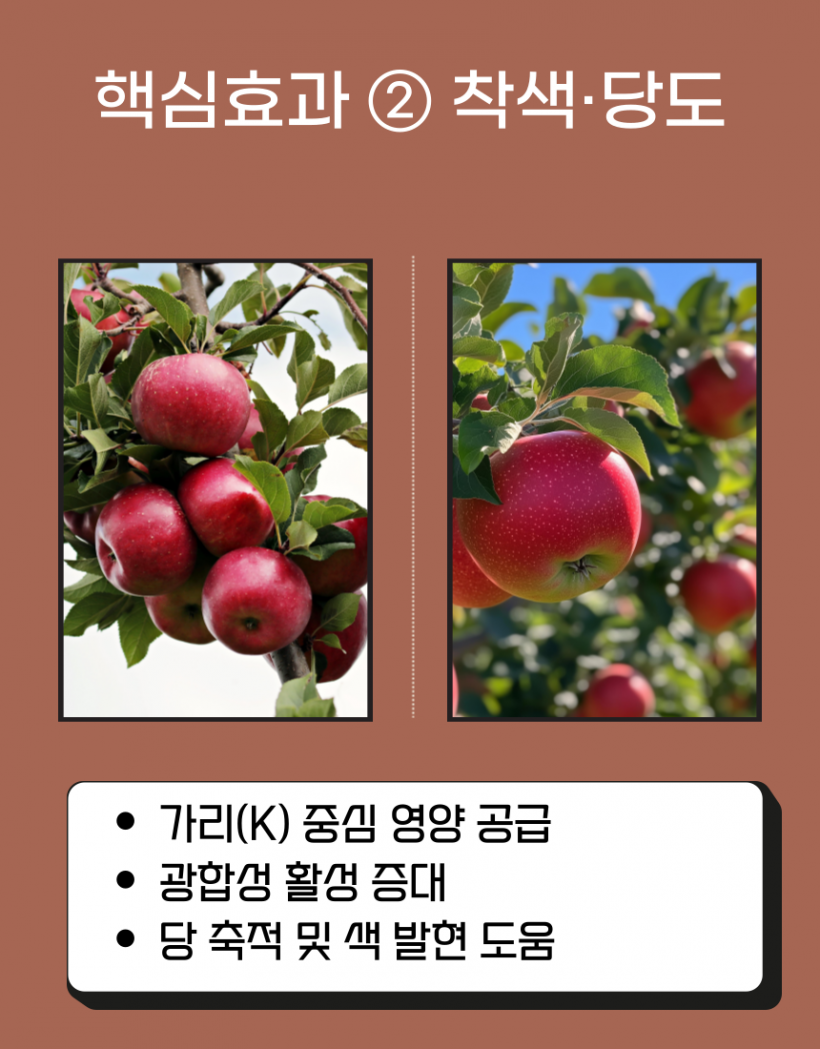 fcf784a25e2f22104efba44c8cd0049c_1779853878_4229.png