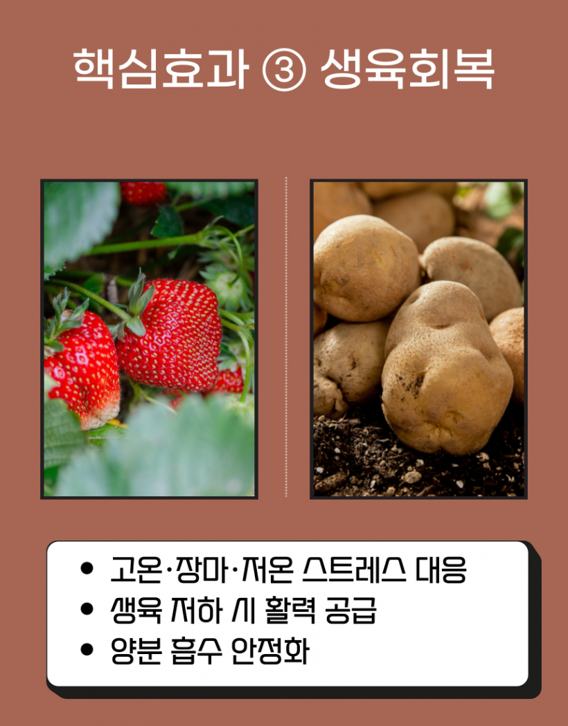 fcf784a25e2f22104efba44c8cd0049c_1779853878_565.png
