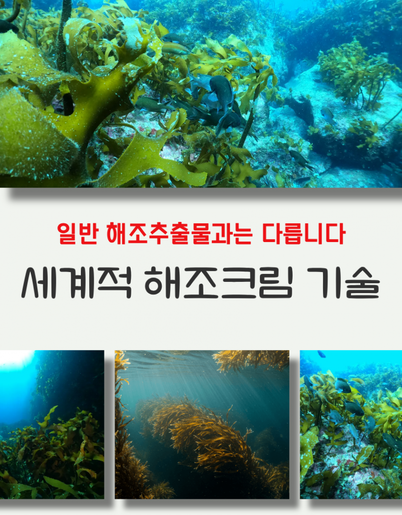 0161748ec28ab4f6aa3869592ae53d08_1780890879_5612.png