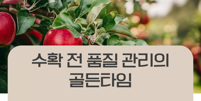 0161748ec28ab4f6aa3869592ae53d08_1780890889_9534.png