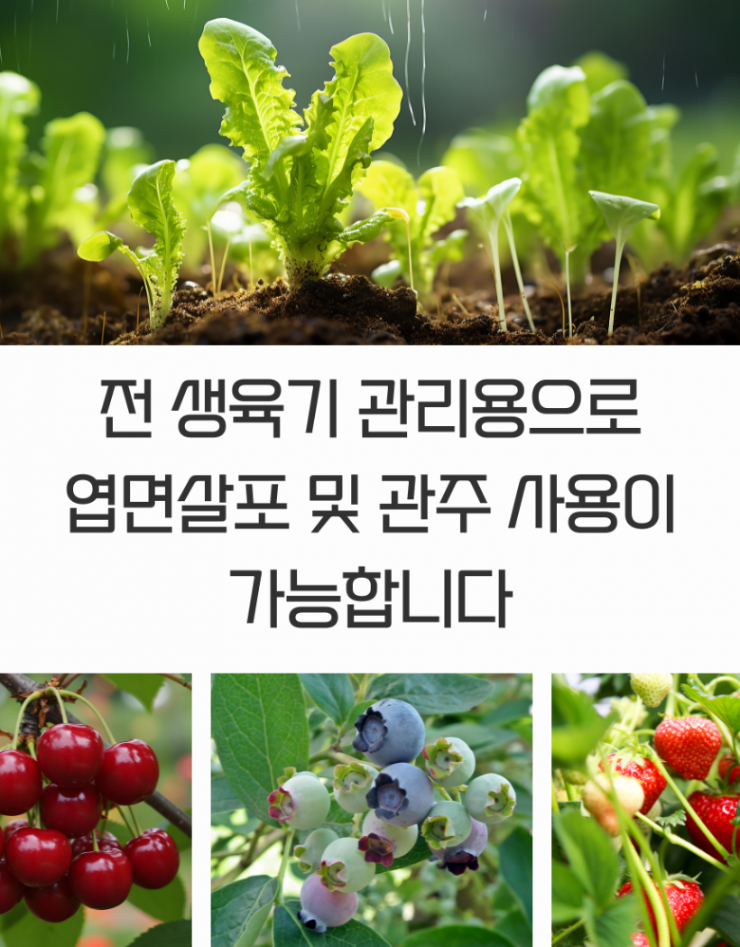 37a6f1c5795fa884ac5719adc31e6773_1782436840_7066.png