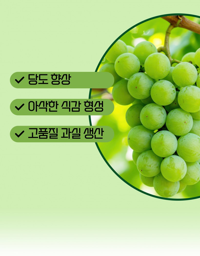 3fd5acc9600b9b4097f8e82ee10504a8_1781069141_3653.jpg