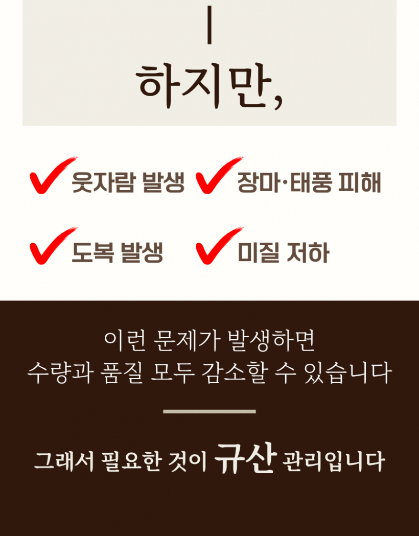 b8396be96d041ae7de185c3d31b7418f_1780991606_789.png