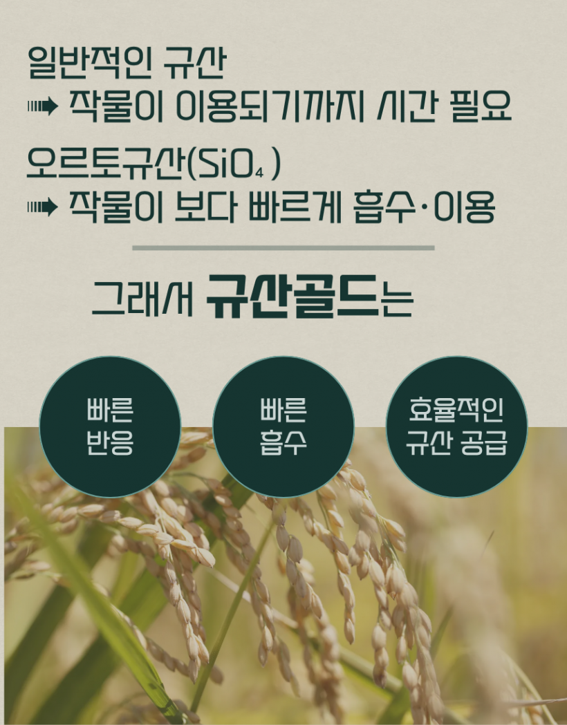 b8396be96d041ae7de185c3d31b7418f_1780991606_9712.png