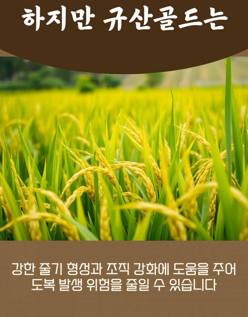 b8396be96d041ae7de185c3d31b7418f_1780991607_4524.png